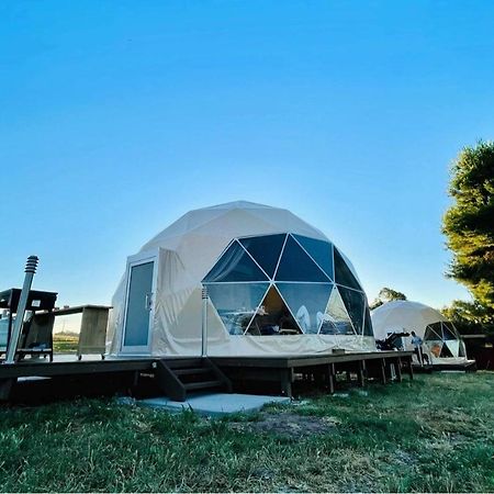 גנדאגאי Hillview Farmstay מראה חיצוני תמונה