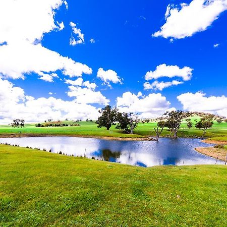 גנדאגאי Hillview Farmstay מראה חיצוני תמונה