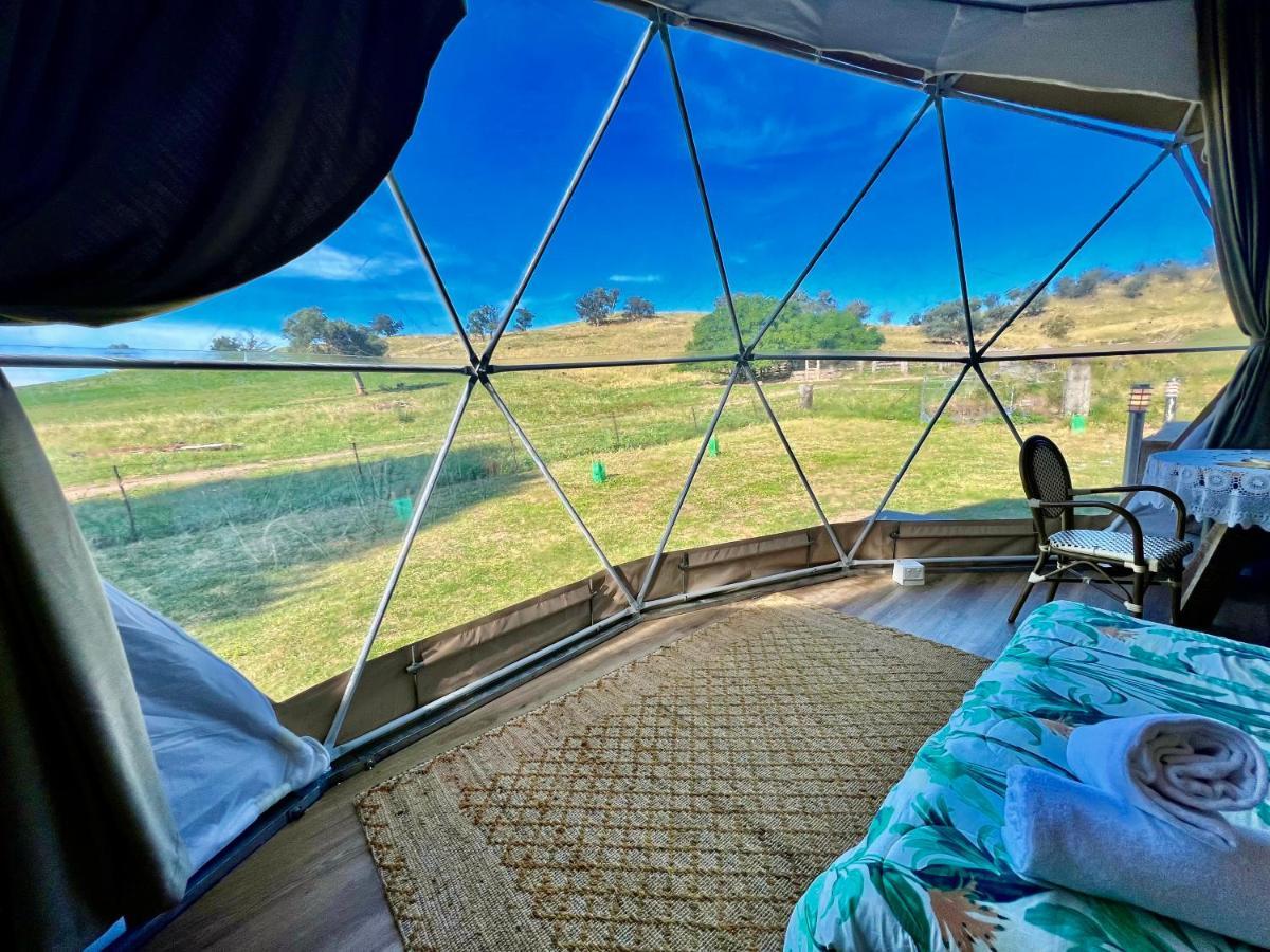 גנדאגאי Hillview Farmstay מראה חיצוני תמונה