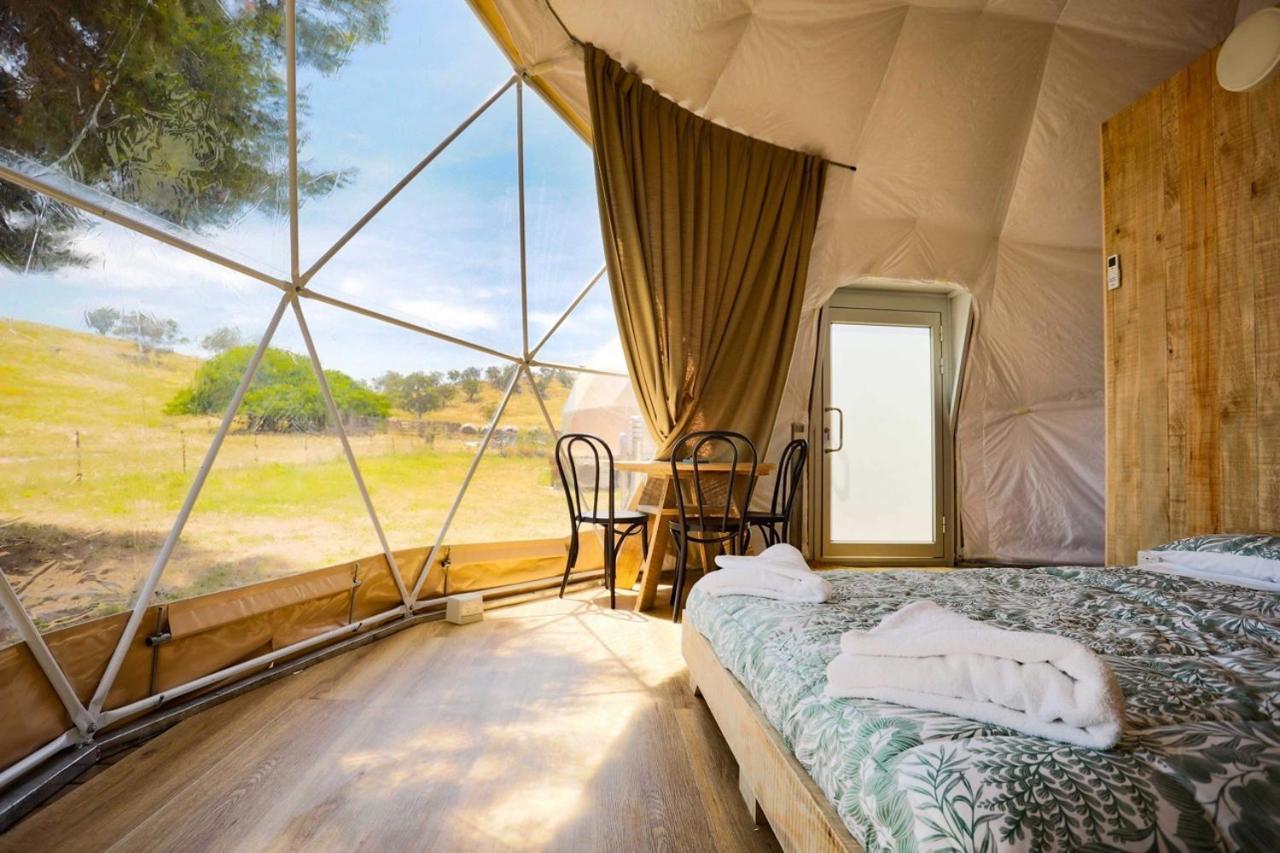 גנדאגאי Hillview Farmstay מראה חיצוני תמונה