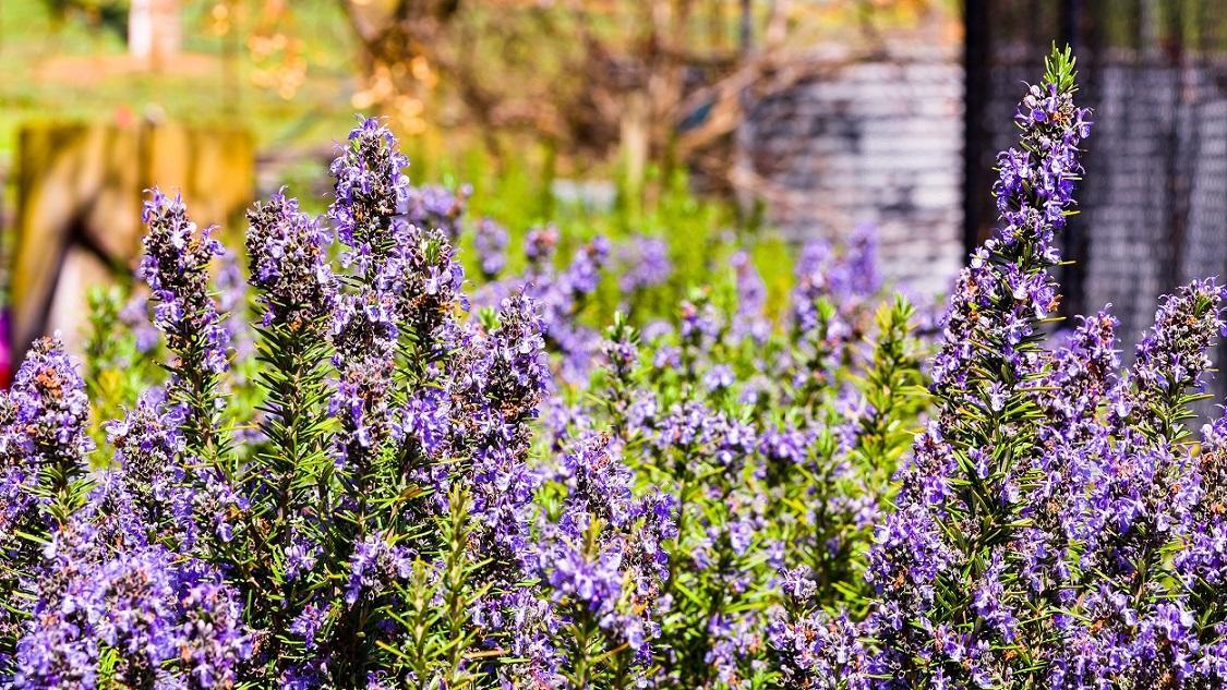 גנדאגאי Hillview Farmstay מראה חיצוני תמונה