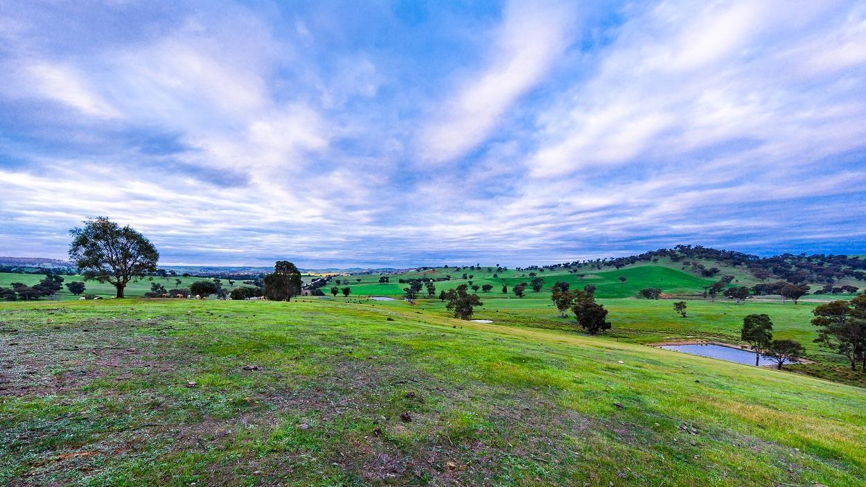 גנדאגאי Hillview Farmstay מראה חיצוני תמונה