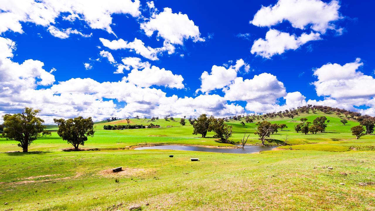 גנדאגאי Hillview Farmstay מראה חיצוני תמונה