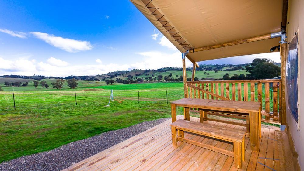 גנדאגאי Hillview Farmstay מראה חיצוני תמונה